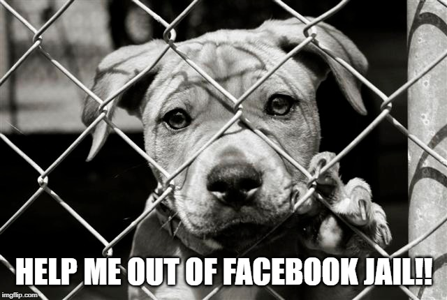 how to get out of Facebook jail