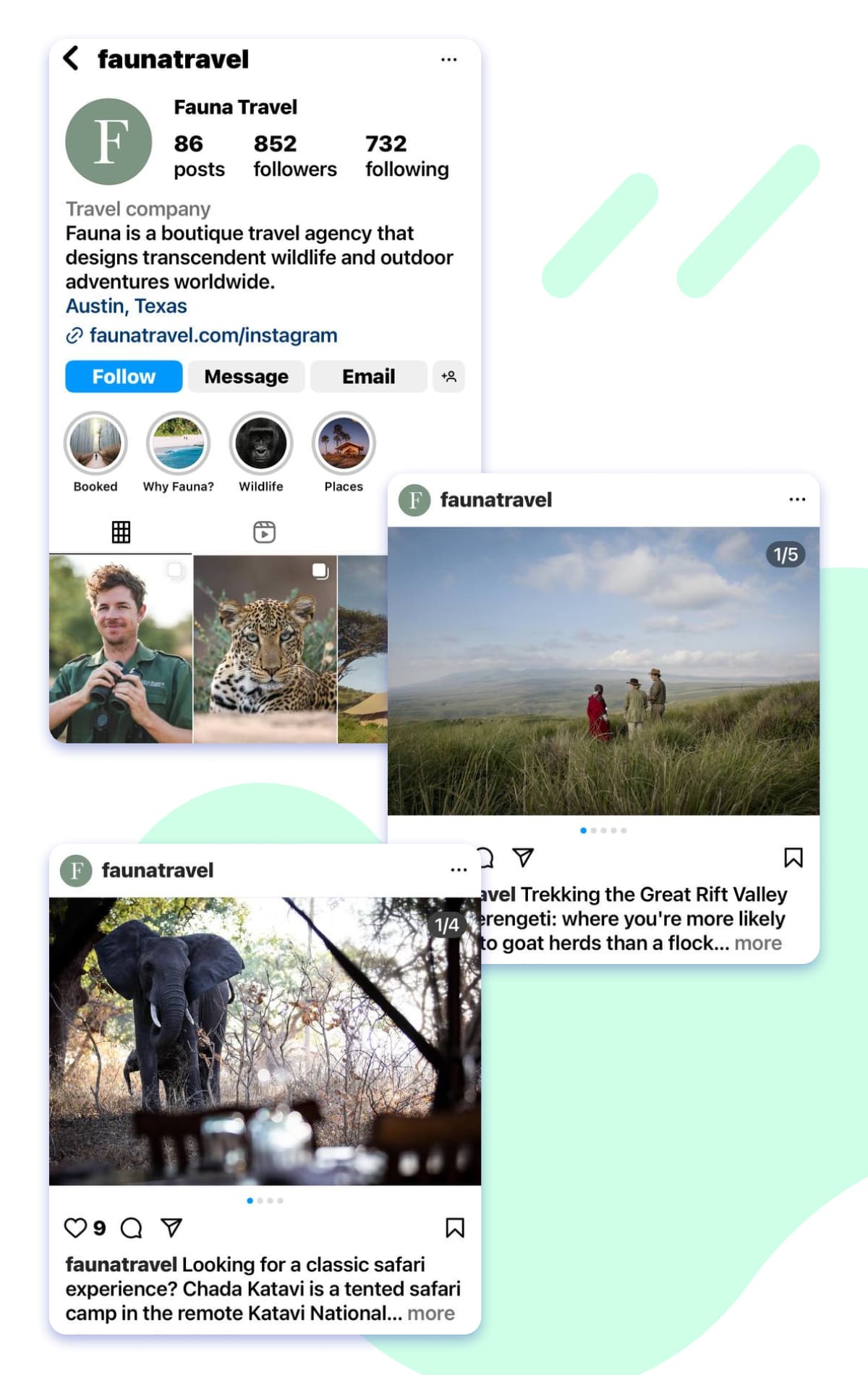 wildlife IG account colors